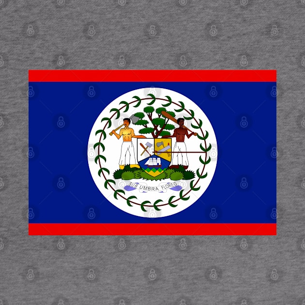 Flag of Belize by COUNTRY FLAGS